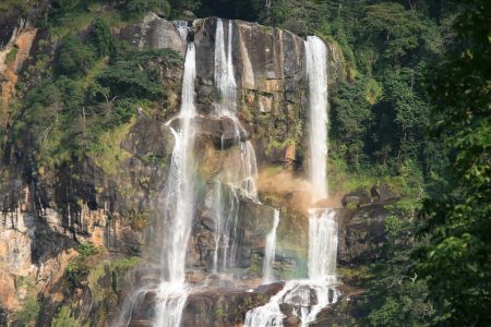 DZUNGWA MOUNTAINS NATIONAL PARK