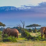 Visit Tanzania