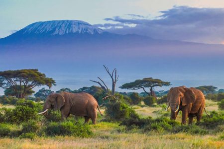 Visit Tanzania