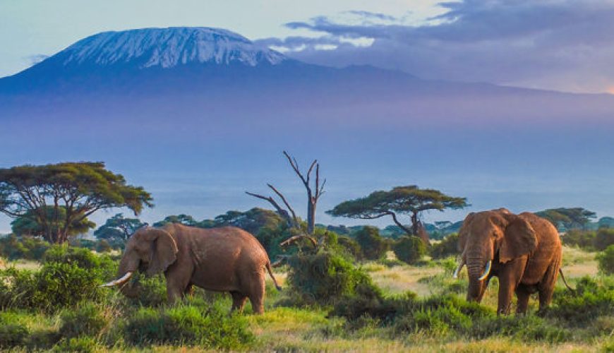 Visit Tanzania